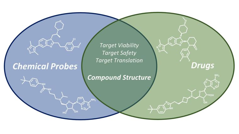 Graphical abstract: Chemogenomics for drug discovery: clinical molecules from open access chemical probes