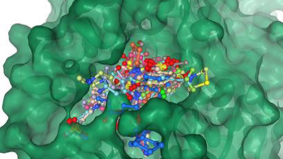 Small molecule inhibitors targeting SARS-CoV-2