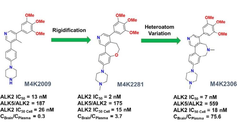 ALK2 Inhibitors