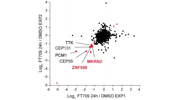 Correlation of two distinct experimental SILAC-based proteomic datasets